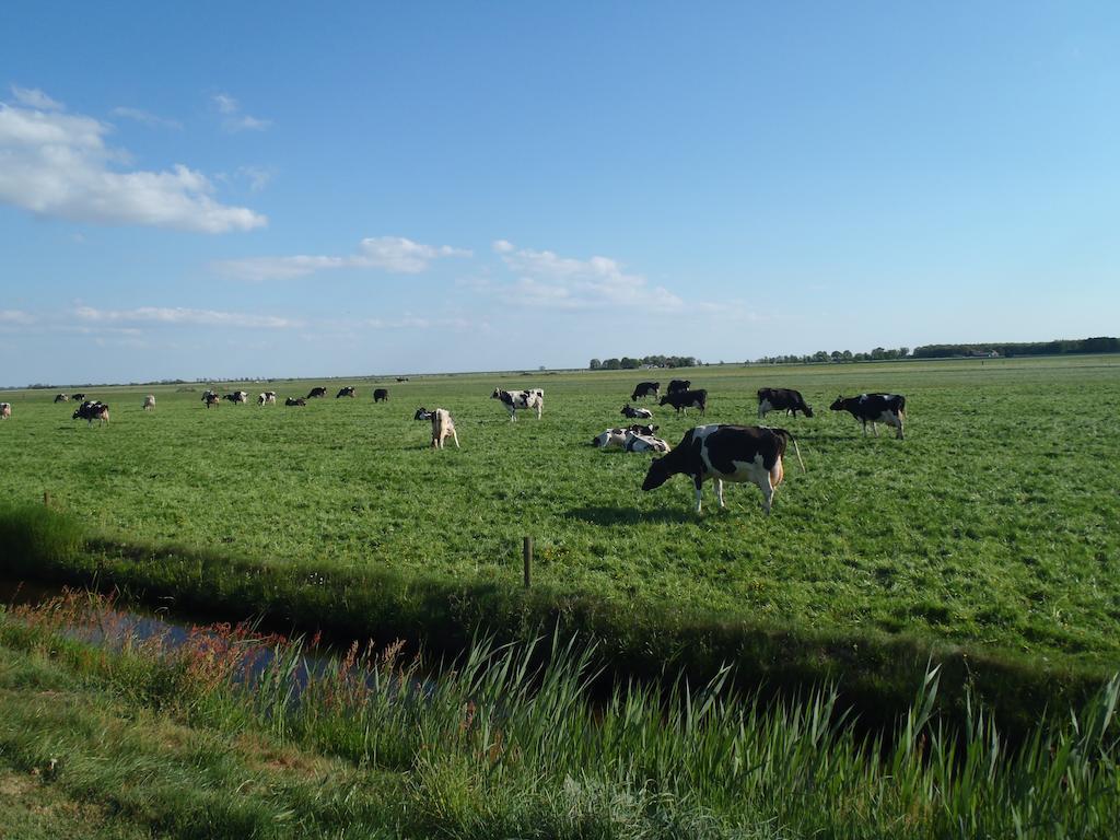 Vakantiehuis Kiki Sondel Esterno foto